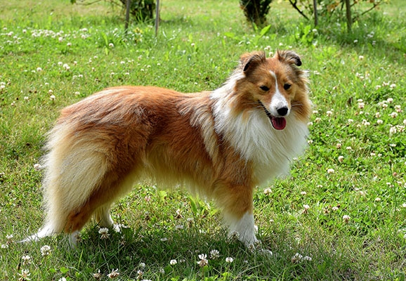 Fine Design ze Skalní vyhlídky